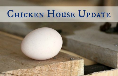 chickenhouseupdate