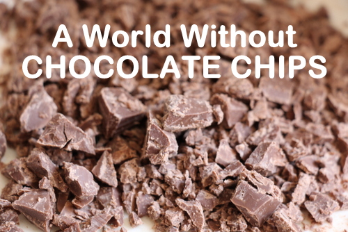 aworldwithoutchocchips