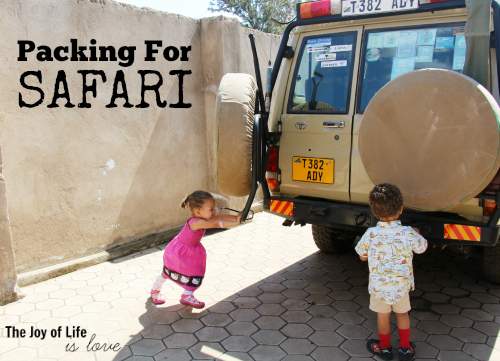packingforsafari