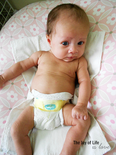ellyaugust2011