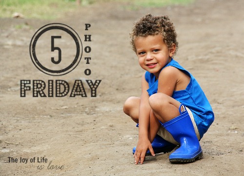 The Joy of Life is Love_5 Photo Friday featuring Max