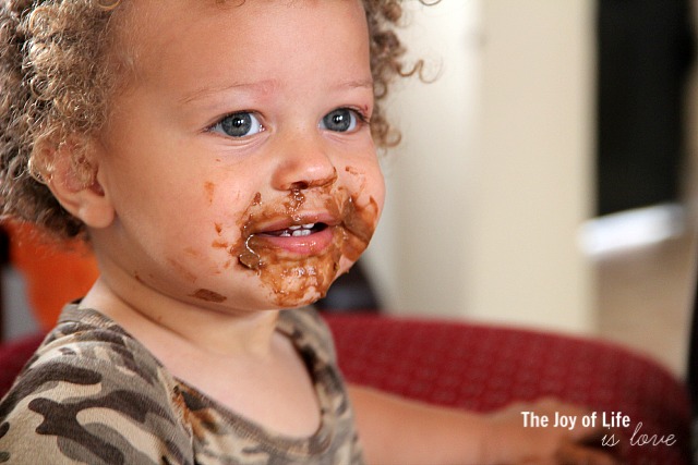 The Joy of Life is Love_Max Has His First Taste of Avocado Chocolate Pudding