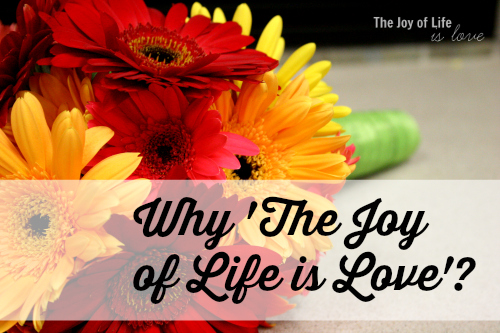 whythejoyoflifeislove