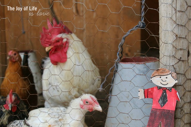 helping-feed-chickens