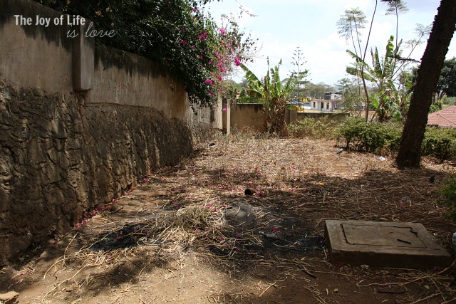 chicken-house-and-kitchen-garden