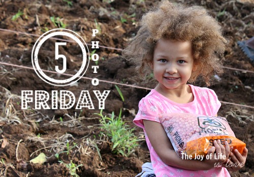 5photofriday_werefarmers