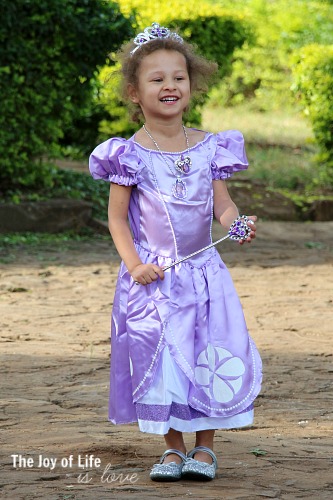 princess-sofia-dress